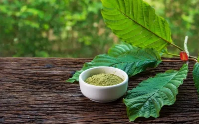 10 Types of Kratom Strains That You Can Take Depending on What You Need